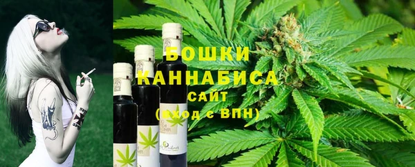стафф Карпинск