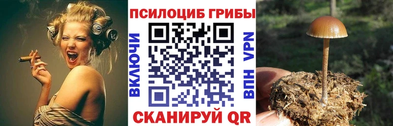 Псилоцибиновые грибы GOLDEN TEACHER Купить где Магас
